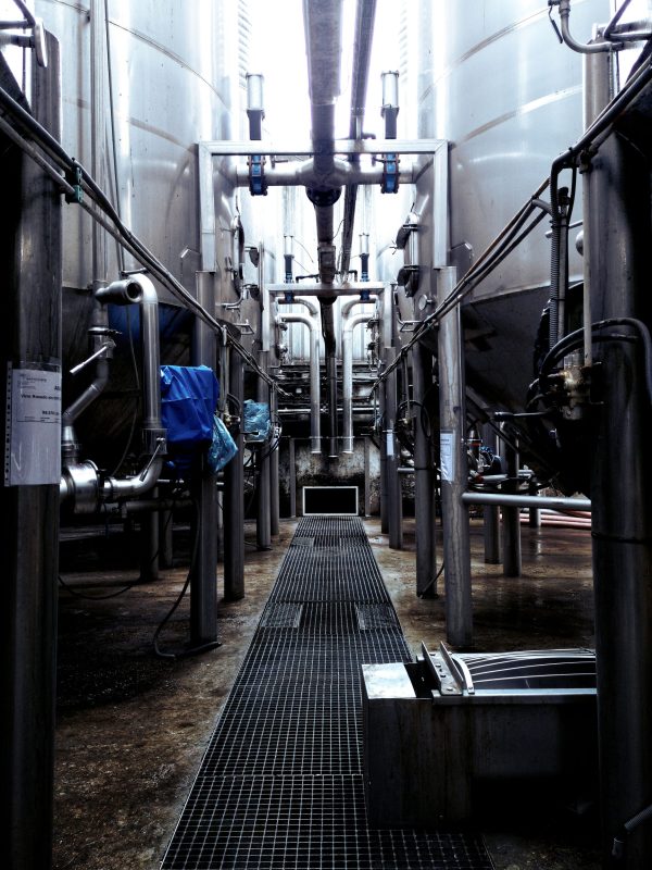 tormius-ISmRgkuPfcM-unsplash